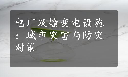 电厂及输变电设施：城市灾害与防灾对策