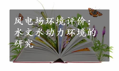 风电场环境评价：水文水动力环境的研究