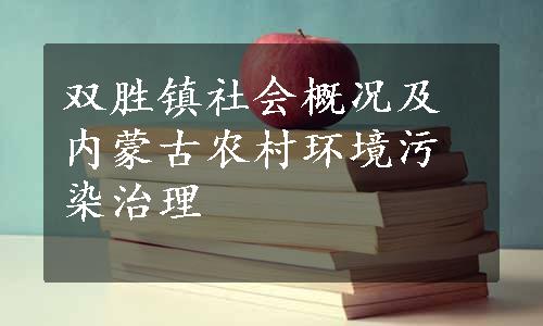 双胜镇社会概况及内蒙古农村环境污染治理