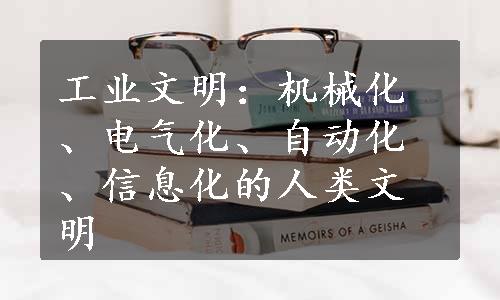 工业文明：机械化、电气化、自动化、信息化的人类文明