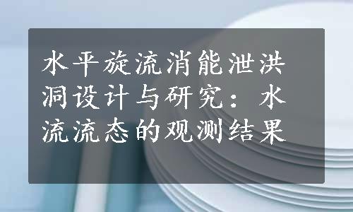 水平旋流消能泄洪洞设计与研究：水流流态的观测结果