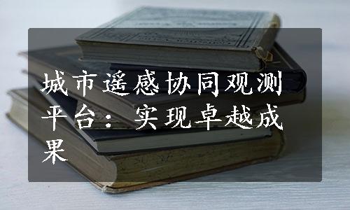 城市遥感协同观测平台：实现卓越成果