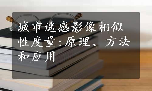 城市遥感影像相似性度量:原理、方法和应用