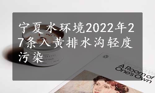 宁夏水环境2022年27条入黄排水沟轻度污染