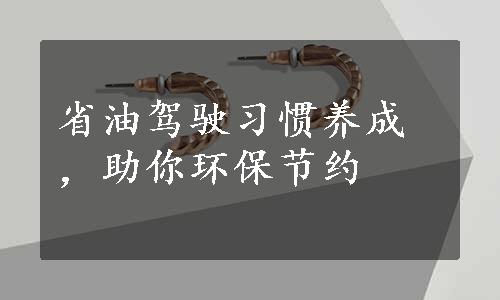 省油驾驶习惯养成，助你环保节约