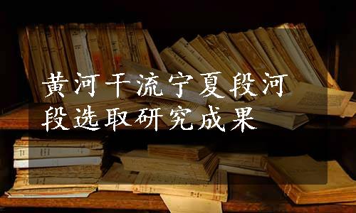 黄河干流宁夏段河段选取研究成果