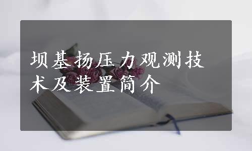 坝基扬压力观测技术及装置简介