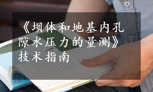 《坝体和地基内孔隙水压力的量测》技术指南