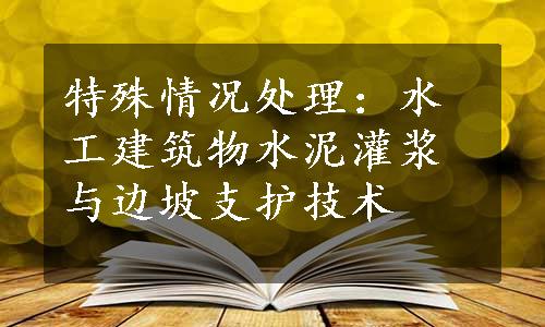 特殊情况处理：水工建筑物水泥灌浆与边坡支护技术