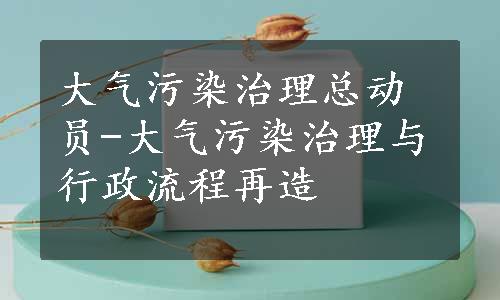 大气污染治理总动员-大气污染治理与行政流程再造