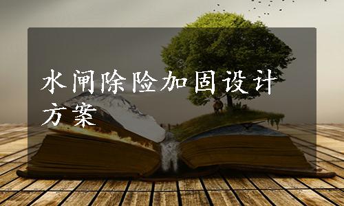 水闸除险加固设计方案