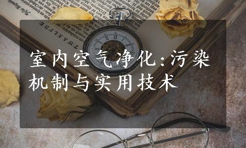 室内空气净化:污染机制与实用技术