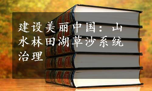 建设美丽中国：山水林田湖草沙系统治理