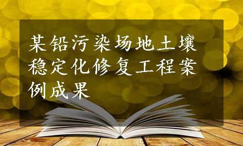 某铅污染场地土壤稳定化修复工程案例成果