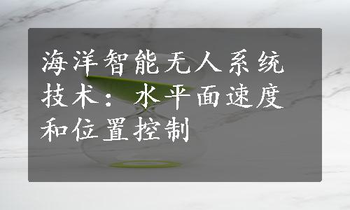 海洋智能无人系统技术：水平面速度和位置控制