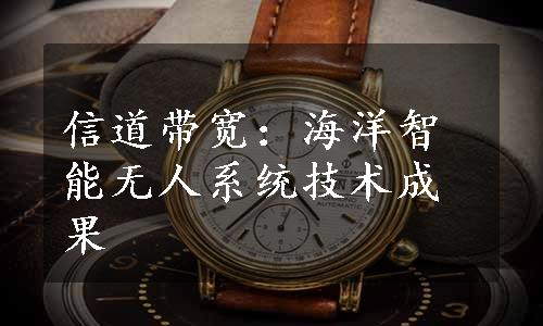 信道带宽：海洋智能无人系统技术成果