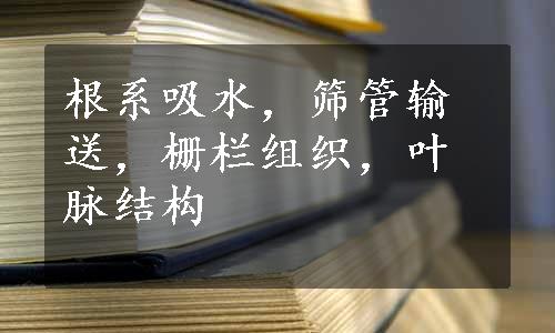 根系吸水，筛管输送，栅栏组织，叶脉结构