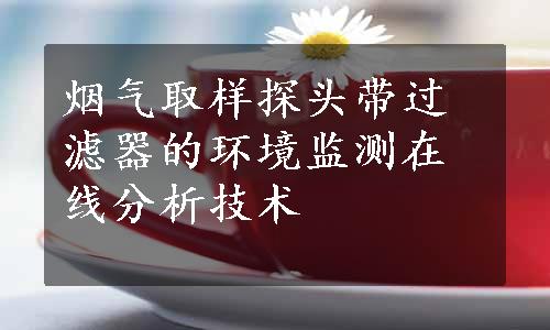 烟气取样探头带过滤器的环境监测在线分析技术