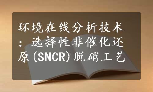 环境在线分析技术：选择性非催化还原(SNCR)脱硝工艺