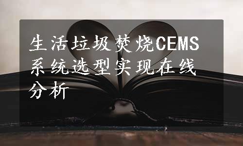 生活垃圾焚烧CEMS系统选型实现在线分析