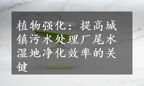 植物强化：提高城镇污水处理厂尾水湿地净化效率的关键