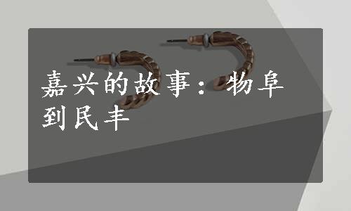 嘉兴的故事：物阜到民丰