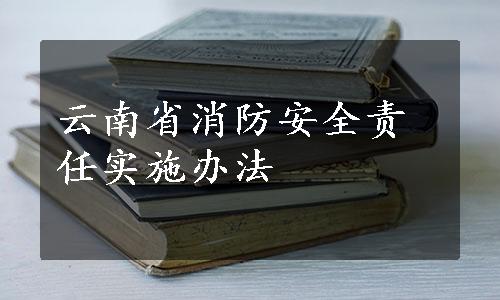 云南省消防安全责任实施办法