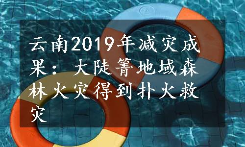 云南2019年减灾成果：大陡箐地域森林火灾得到扑火救灾