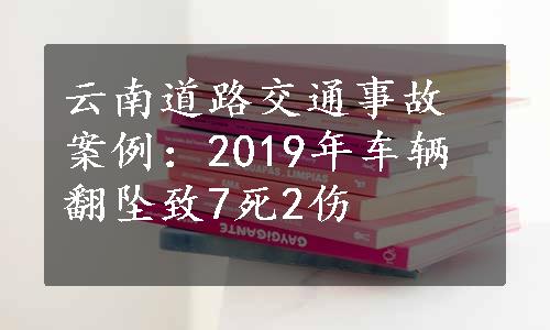 云南道路交通事故案例：2019年车辆翻坠致7死2伤