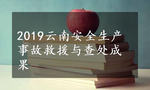 2019云南安全生产事故救援与查处成果