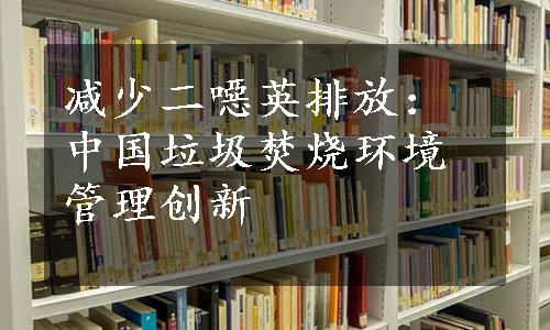 减少二噁英排放：中国垃圾焚烧环境管理创新