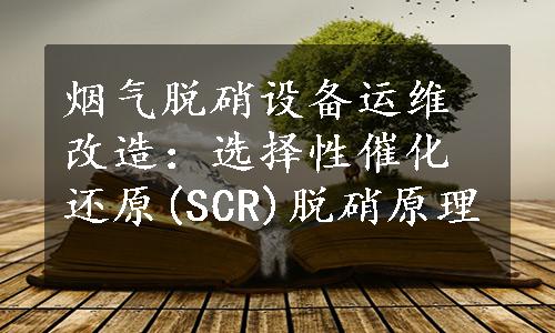 烟气脱硝设备运维改造：选择性催化还原(SCR)脱硝原理