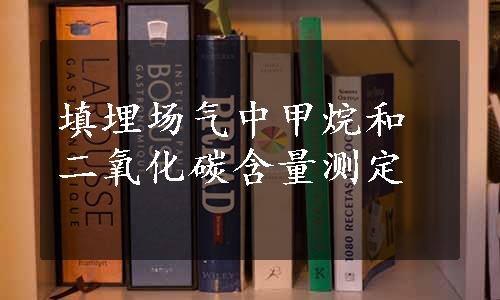 填埋场气中甲烷和二氧化碳含量测定