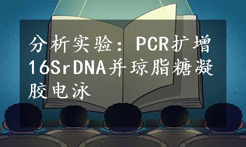 分析实验：PCR扩增16SrDNA并琼脂糖凝胶电泳