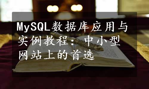 MySQL数据库应用与实例教程：中小型网站上的首选