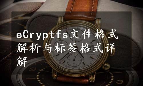 eCryptfs文件格式解析与标签格式详解