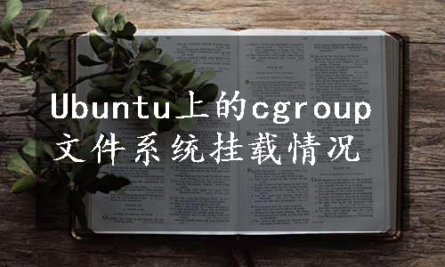 Ubuntu上的cgroup文件系统挂载情况