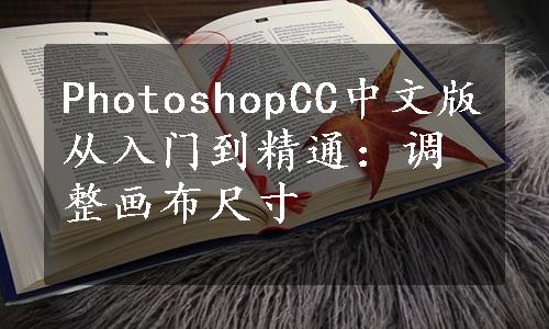 PhotoshopCC中文版从入门到精通：调整画布尺寸