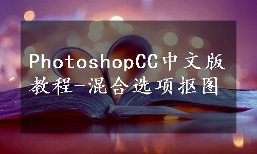 PhotoshopCC中文版教程-混合选项抠图