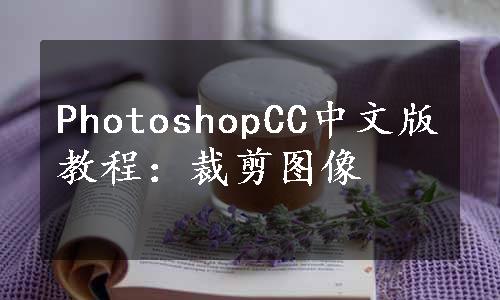 PhotoshopCC中文版教程：裁剪图像