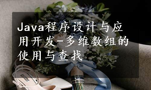 Java程序设计与应用开发-多维数组的使用与查找