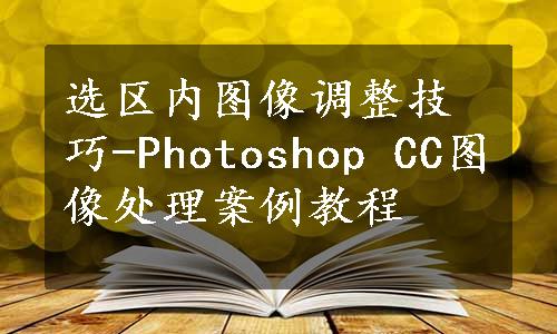 选区内图像调整技巧-Photoshop CC图像处理案例教程