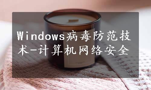Windows病毒防范技术-计算机网络安全