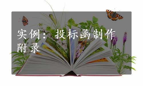 实例：投标函制作附录