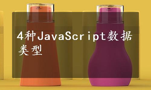 4种JavaScript数据类型