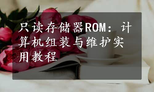 只读存储器ROM：计算机组装与维护实用教程