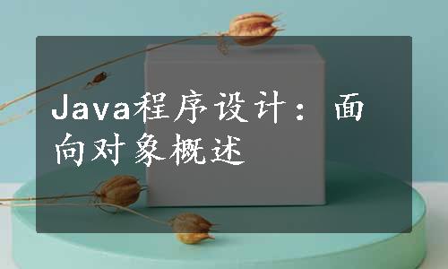 Java程序设计：面向对象概述