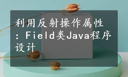 利用反射操作属性：Field类Java程序设计