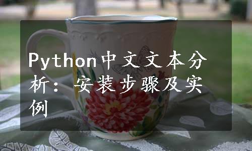 Python中文文本分析：安装步骤及实例