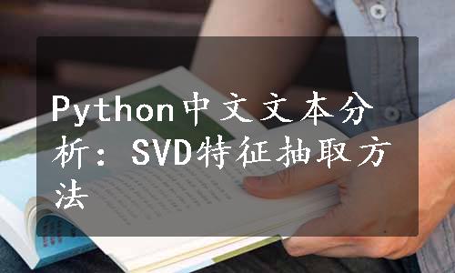 Python中文文本分析：SVD特征抽取方法